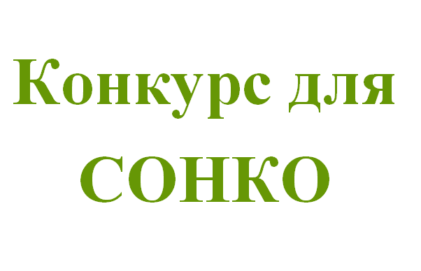 Объявляется конкурсный отбор среди социально ориентированных некоммерческих организаций на предоставление грантов в форме субсидий в 2023 году..