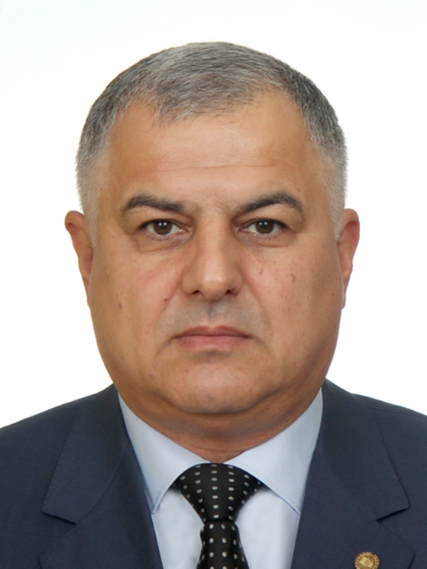 Гаджиев Эльгиз Айдынович.