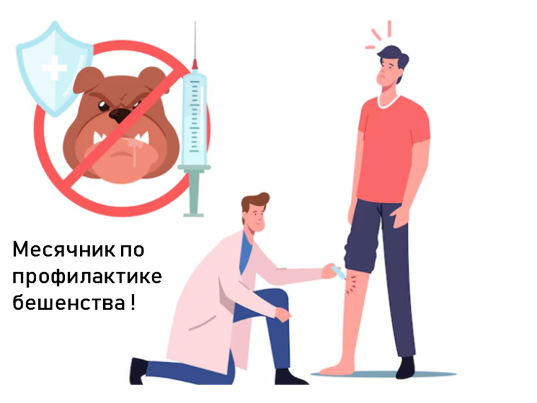 МЕСЯЧНИК ПО ПРОФИЛАКТИКЕ БЕШЕНСТВА СТАРТОВАЛ В УДМУРТИИ. МЕСЯЧНИК ПО ПРОФИЛАКТИКЕ БЕШЕНСТВА СТАРТОВАЛ В УДМУРТИИ.